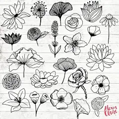 cf95510d5d2ccd064f367a2a011f531c