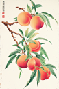 yuanhaoyang_Peach_illustration_appetitive_peaches_bright_colors_c6ac542d-7585-411c-ae90-fb64a701d73b