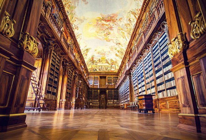 The Library by Patri...