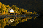 Photograph Autumn is Gold ... by Jørn Allan Pedersen on 500px