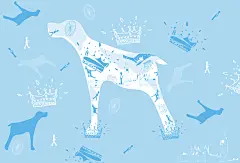 立足于皇冠之上