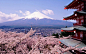 美丽而神圣的富士山