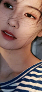 白鹿