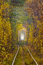 Tunnel of Love, Klevan, Ukraine (by garmoncheg)。乌克兰里夫涅克利宛爱情隧道。在乌克兰Rivne(译里夫涅)西北25公里处有条村庄名为Klevan(译克利宛)，有一条穿越森林的火车轨道。由于周围被繁茂的树枝绿叶所笼罩，这就形成了一段绿色的隧道，加之经常有情侣在此游玩久而久之就变成了一条“爱的隧道（Tunnel of Love）”。虽然是全球闻名的绿色隧道，但秋季金黄的叶子也别有一番风味呢。#乌克兰##旅行#