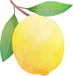 梦幻风格水彩插画贴纸-黄柠檬