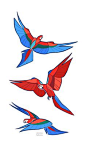 Studies - Macaw by oxboxer on deviantART