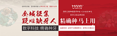 糖糖夏夏采集到口腔Banner