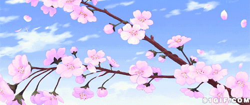 樱花动态图:花瓣,飘落,樱花