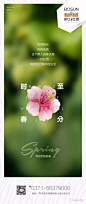 春分 燕子很忙