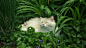 春^绿