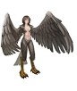 harpy