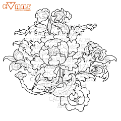 小扁贵采集到白描线图