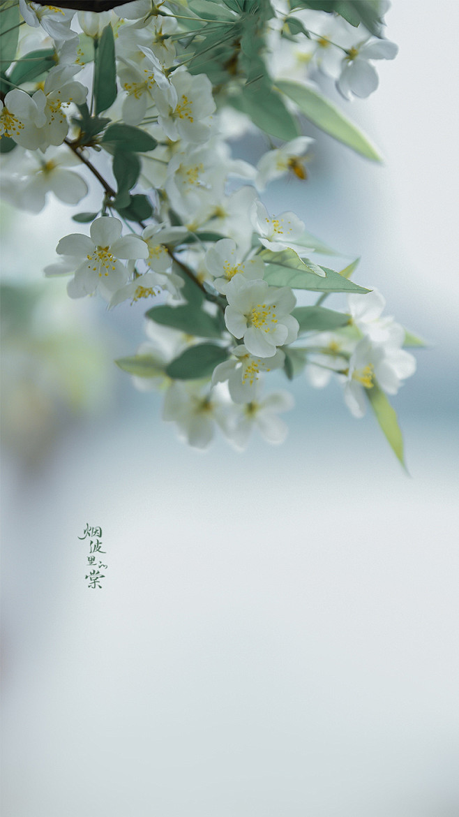 烟波里的棠的微博微博