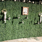 Living Champagne Wall Rental for Weddings & Events in California, Vegas and NYC | Dreams in Detail : We are delighted to be the only living champagne wall and living hedge wall rental companyserving for wedding and corporate events in Los Angeles, CA,