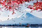 Red Maple Fuji by Andrew Fan on 500px