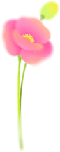 花 (55)