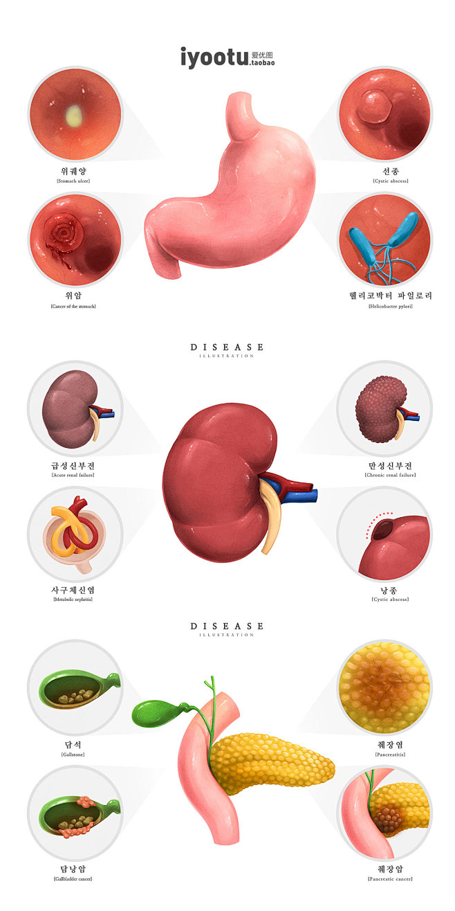 人体器官五脏六腑心肝胃肾胰岛肺心血管手绘...