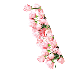 陈吉隆采集到花