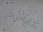 SAM_3594_副本.jpg