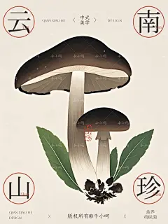 AI手绘云南山珍鸡枞菌插画美到灵魂出窍 - 小红书