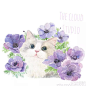 水彩---花与萌猫