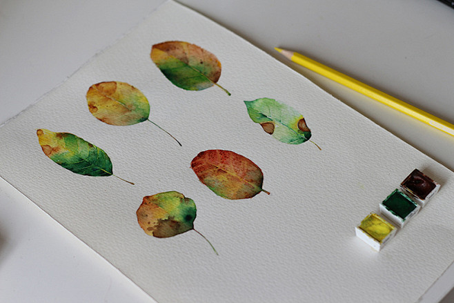 宿一笑  的插画 leaf夏天再见