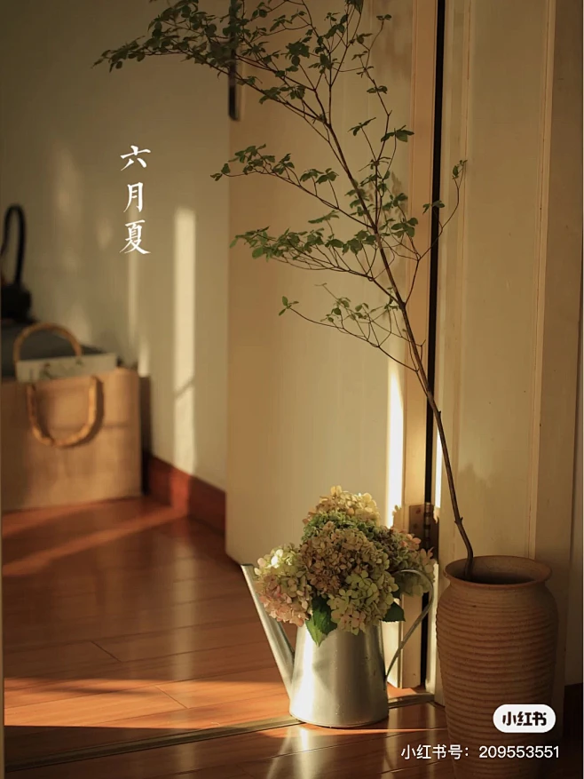 花艺内的花瓣采集图片-比尼比尼
