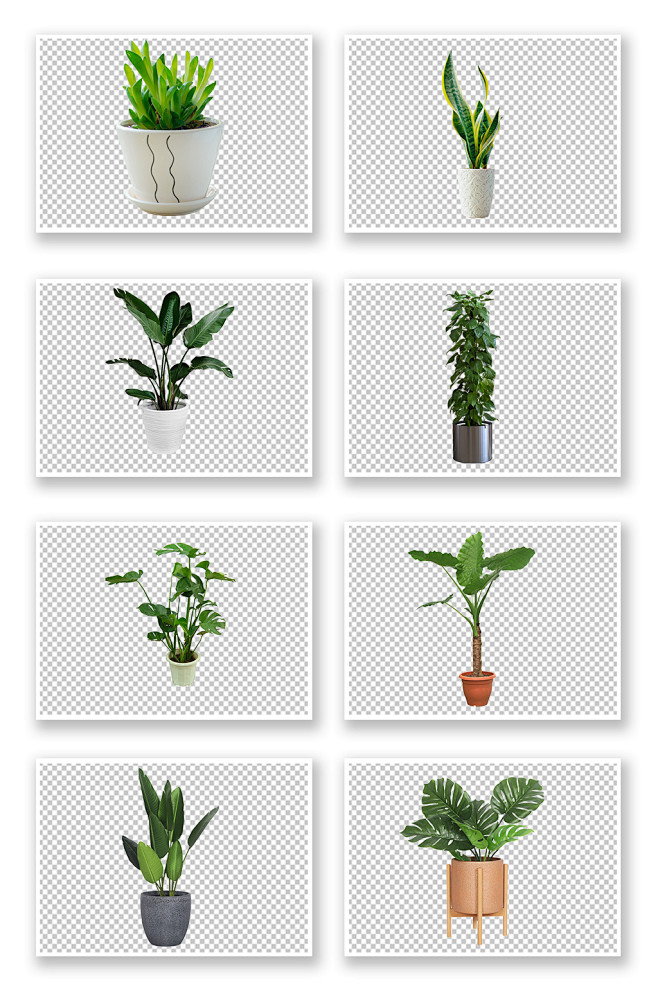 盆栽盆景花盆绿植元素