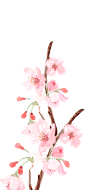 粉色花03