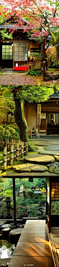 serene Japanese garden: 