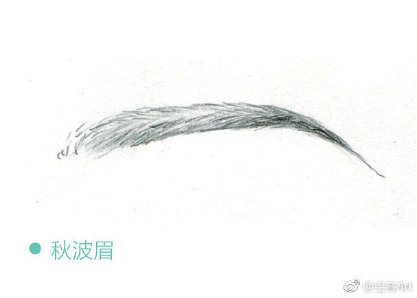 #素描# 眉毛的类型和结构，你都了解吗？...