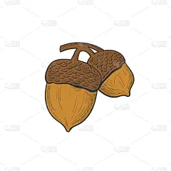 品牌名称,橡树,动物手,橡树叶,橡树果,植物,绘制,设计,复古,剪影