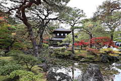 梦滞采集到园林水系