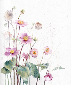Mr辉采集到花