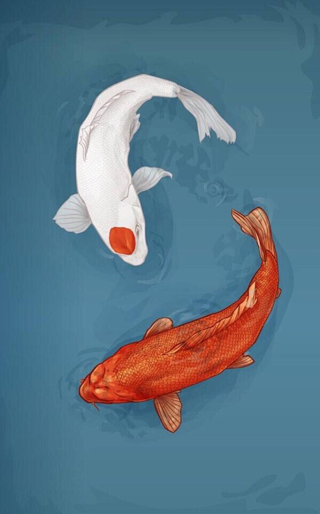 锦鲤手机壁纸插画