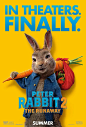比得兔2：逃跑计划 Peter Rabbit 2: The Runaway 海报