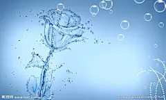 创意蓝色水玫瑰花电视背景墙