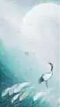 暴露节气芦苇白鹭背景图片