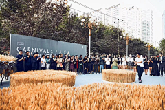 风传播采集到2020美丽收集