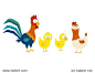 Cute cartoon chicken family. Rooster, hen and chickens. Vector illustration isolated on white background.