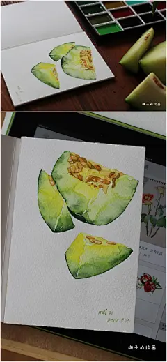 水彩手绘哈密瓜  #治愈系# #水彩# #壁纸# #小清新#