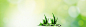 护肤品,芦荟,绿色,水珠,海报banner,大气图库,png图片,,图片素材,背景素材,2645501北坤人素材