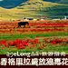 【玩美蜜月】传奇航母，海上城市——圣迭戈.中途岛航母, luna熊猫爱旅游攻略