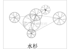 姬木香采集到植物造景