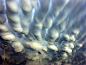 Mammatus Clouds over Hastings, Nebraska 2005 #2: 