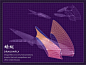 飞行生物们是如何舞动自己翅膀的？华盛顿的设计师Eleanor Lutz设计了一组动图，用慢动作展示了几种动物在飞翔时的美丽姿态。（图源Dailymail）