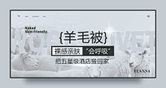 蓝钟儿采集到平面