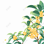 桂花中秋节 国潮风中秋节团圆桂花节日中秋节桂花枝