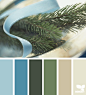 Design Seeds® | find your palette