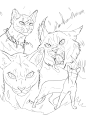 (17) Pinterest